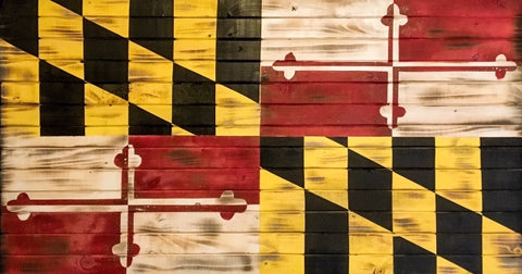 Charred Maryland Flag